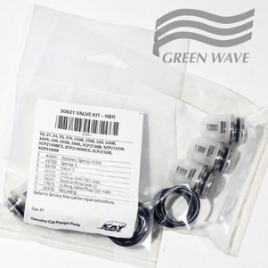 30821 Kit valve (Cat Pumps 350, клапани)